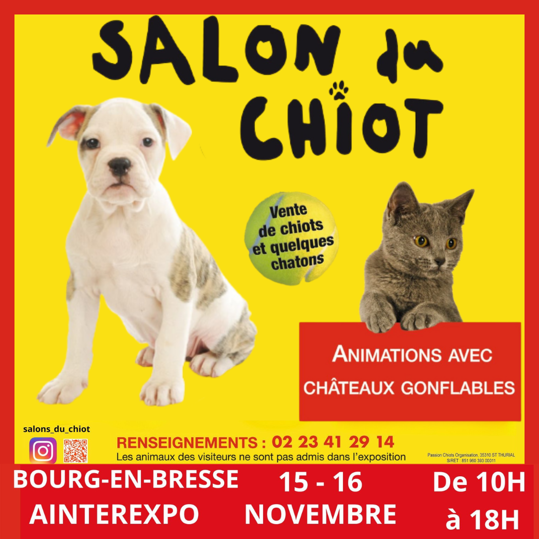 Salon du chiot