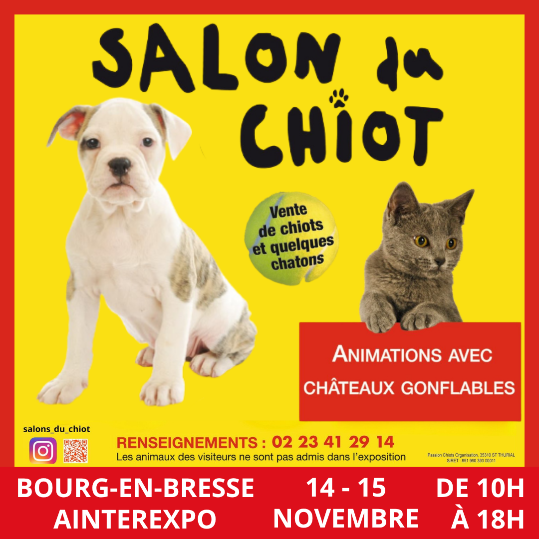 Salon du chiot