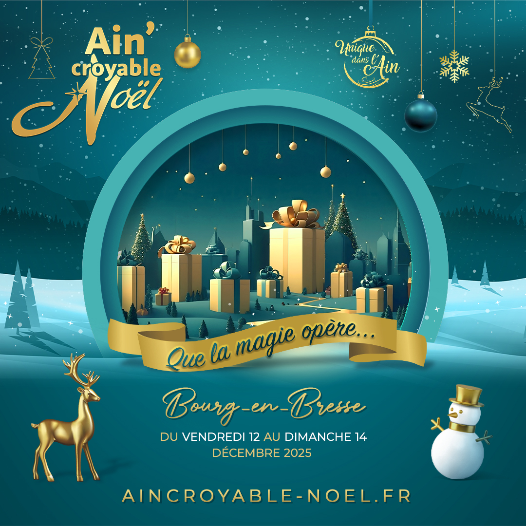 Ain'croyable Noël