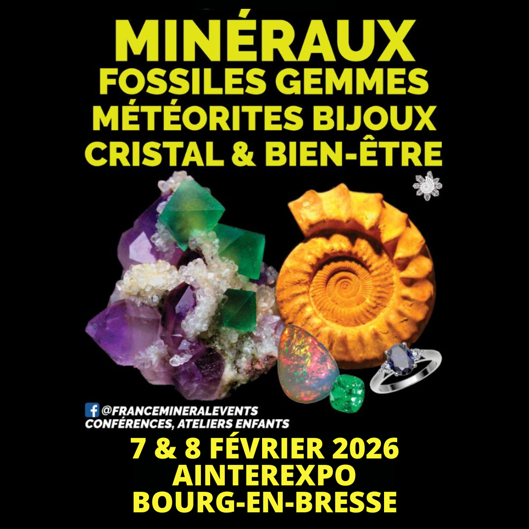 mineralevent ainterexpo bourg en bresse